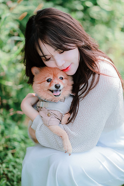 제주 애견스냅 결 초록의 오름과 숲
